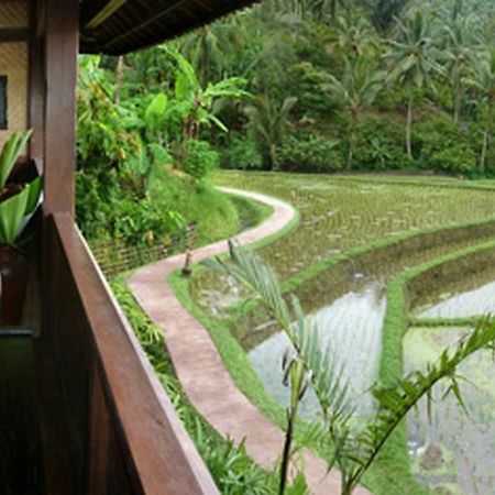 Bali Eco Stay Esterno foto