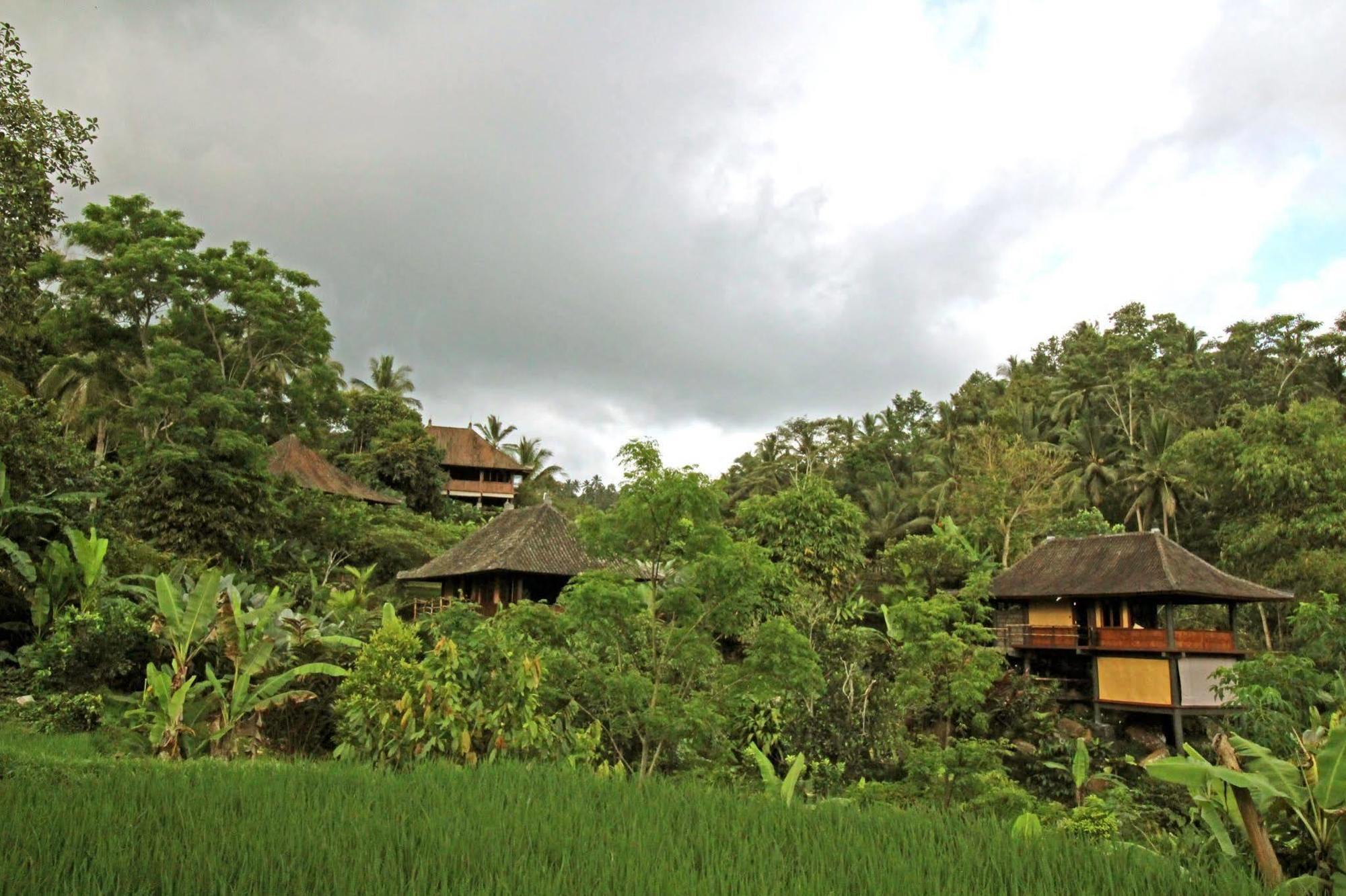 Bali Eco Stay Esterno foto